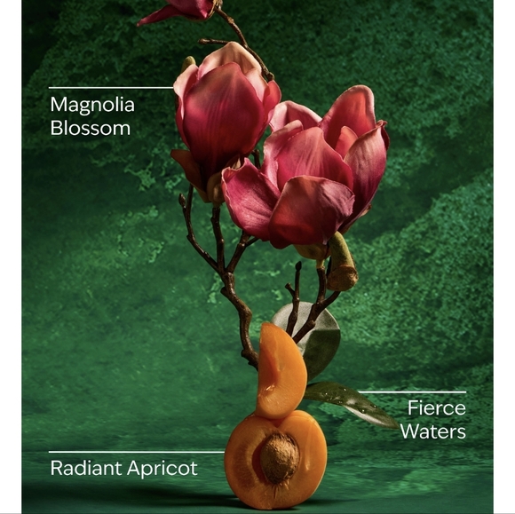 👑🤲NWT‼️Bath & Body Works Disney Princess Light-up Castle Holder w/ Sanitizers - Picture 12 of 16